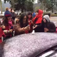 Image for article titled Photos: Amazed southern Chinese experience first snowfall ever, make teeny-tiny snowmen